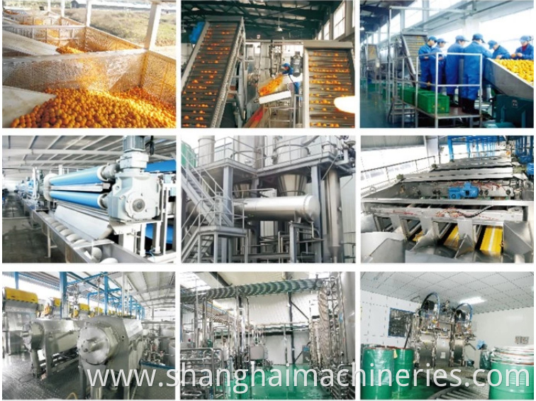 Industrial Citrus Peeler Machine Citrus Processing Line